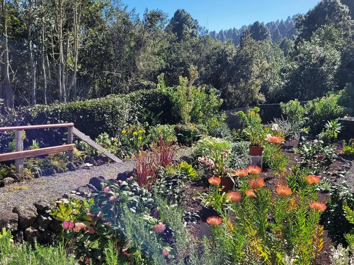 Finca Llano De La Cebolla Icod De Los Vinos