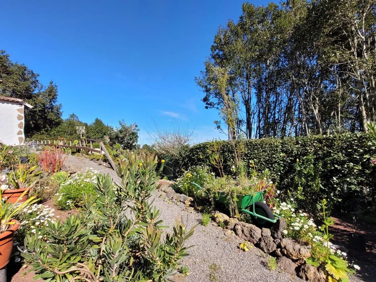 Finca Llano De La Cebolla Icod De Los Vinos 0*,  Spain